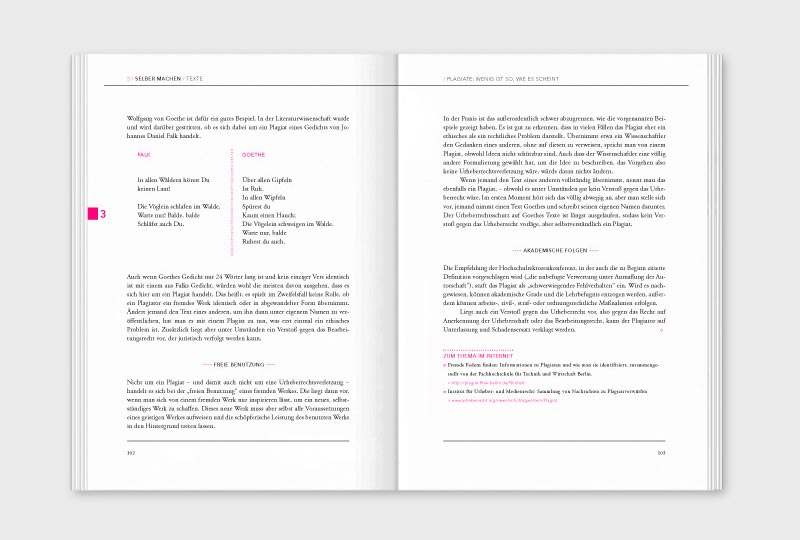 Editienne Grafikdesign - Kommunikationsdesign Berlin- Buchgestaltung und Illustrationen iRights 5