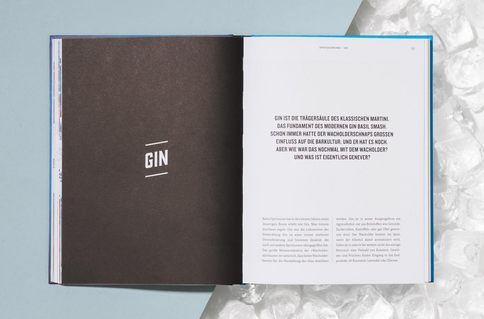 Editienne Grafikdesign - Kommunikationsdesign Berlin- Buchgestaltung Cocktails 21